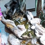phoca_thumb_m_tropic zajici 50 Fotogalerie